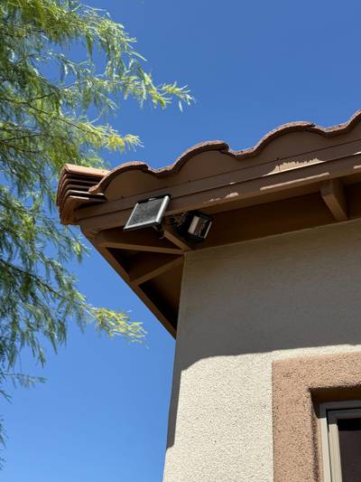 Roof eave with security camera and bird