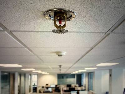 Sprinkler heads clear & undamaged? — capture proof
