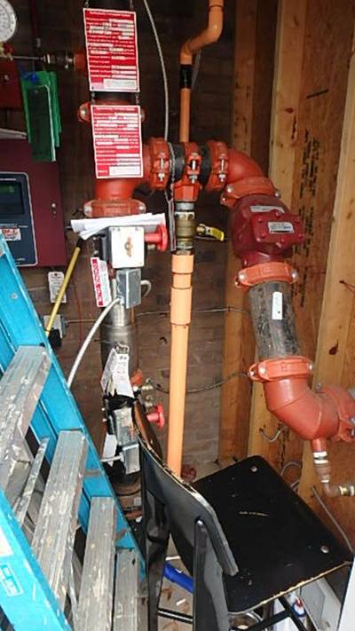 Fire sprinkler riser with backflow preventer assembly