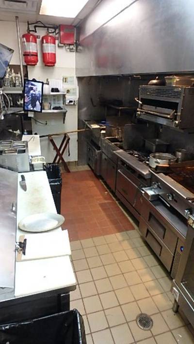 Galley cook line under exhaust hood: range, griddle, salamander, fryers